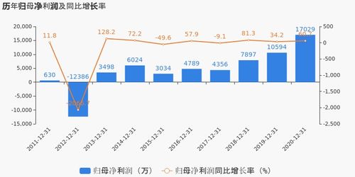 有研新材2020年度業(yè)績(jī)顯著提升，歸母凈利潤(rùn)同比大漲60.74%，投資項(xiàng)目回報(bào)成未來(lái)焦點(diǎn)